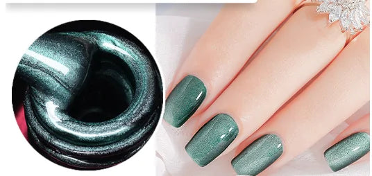 4D Magnetic Nail Polish Set